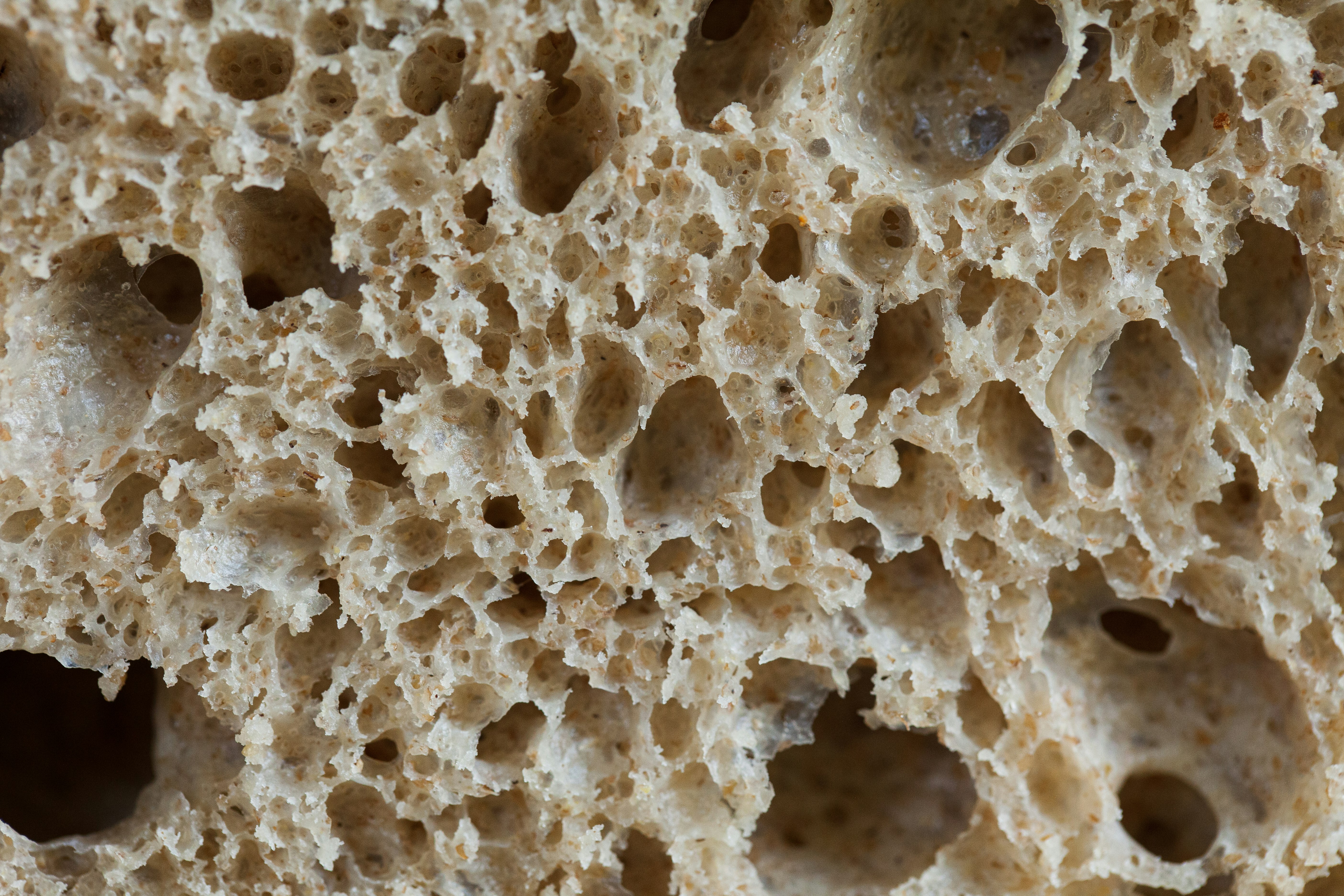 Bread baked during a 30-day homemade bread challenge
