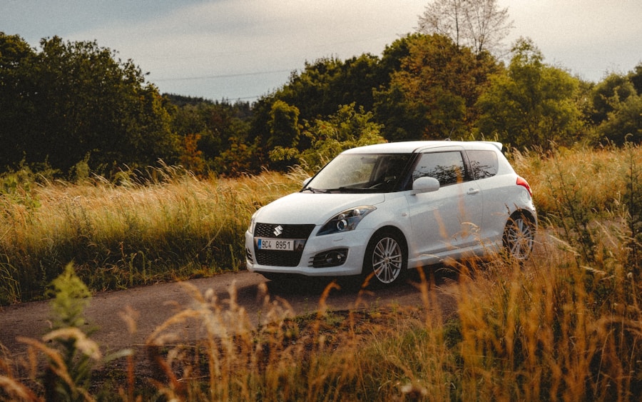 Ford Fiesta rental experience